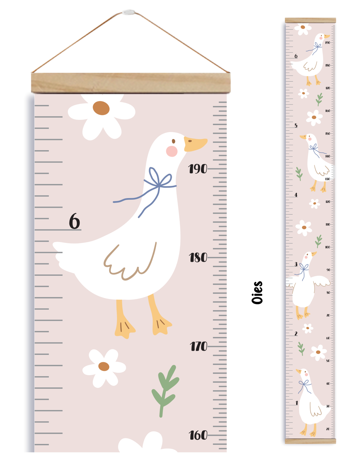 Growth Chart – Geese