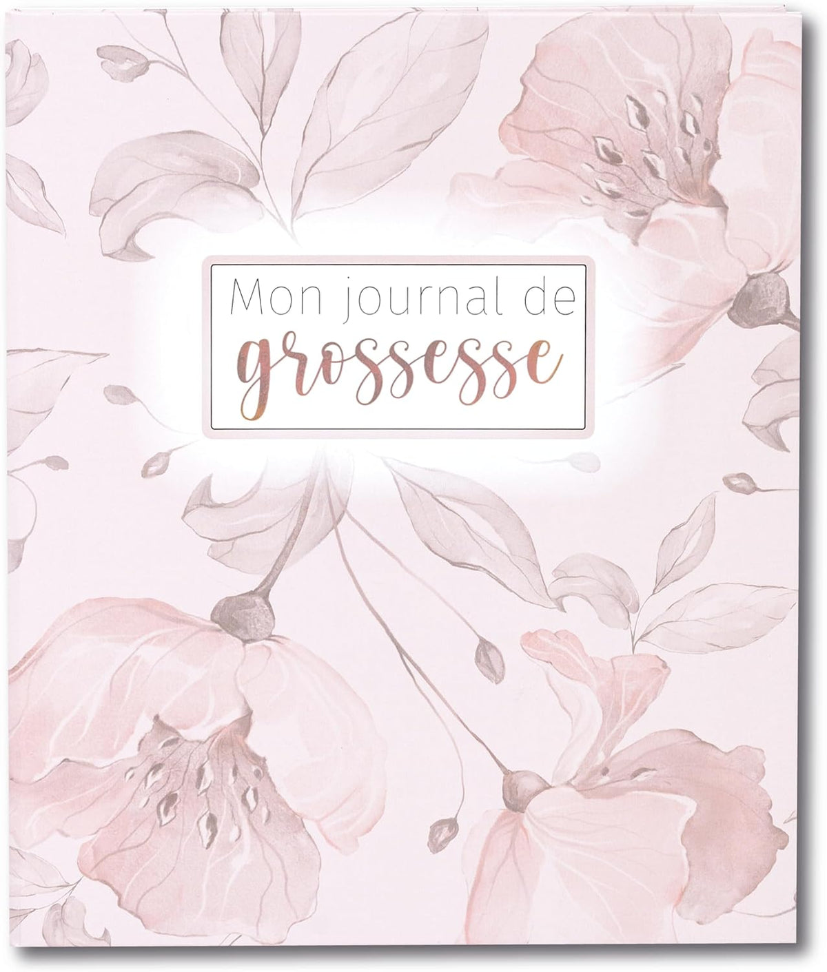 Journal de grossesse