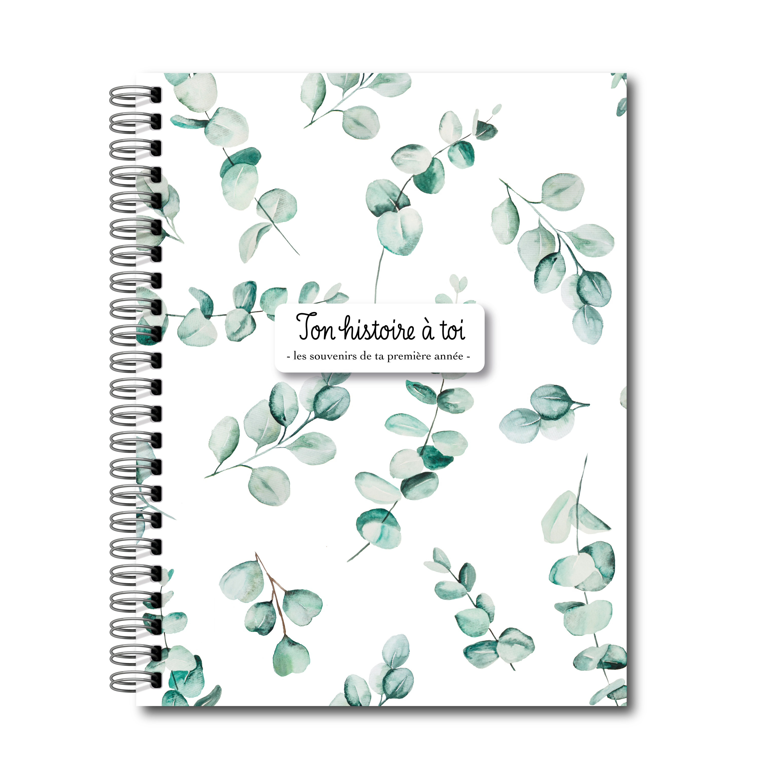 French Birth Book – Journal Souvenirs (Geese) 