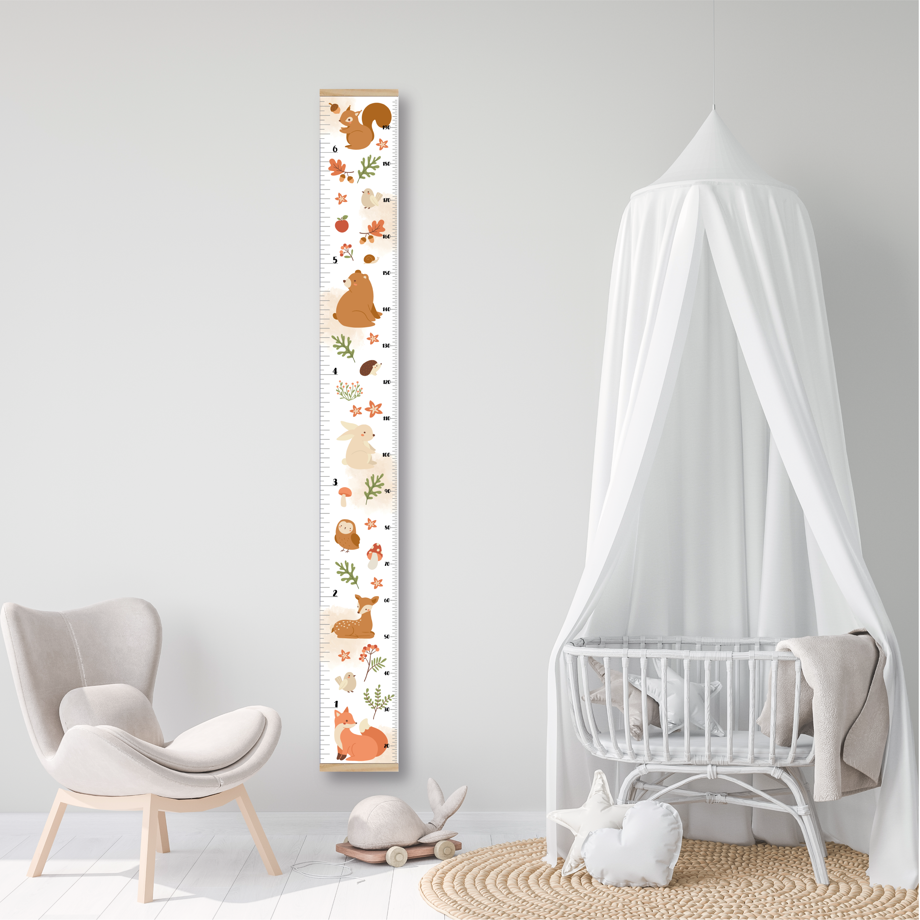 Échelles de croissance - Balade en forêt