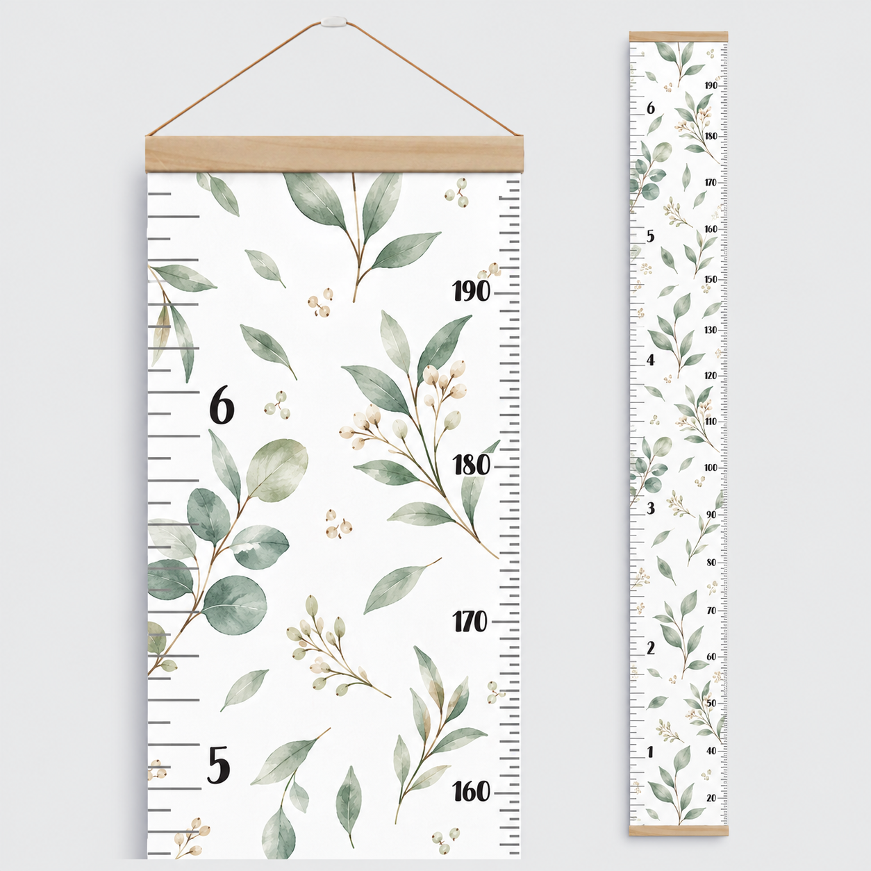 Échelles de croissance - Feuillages/Growth chart leafs