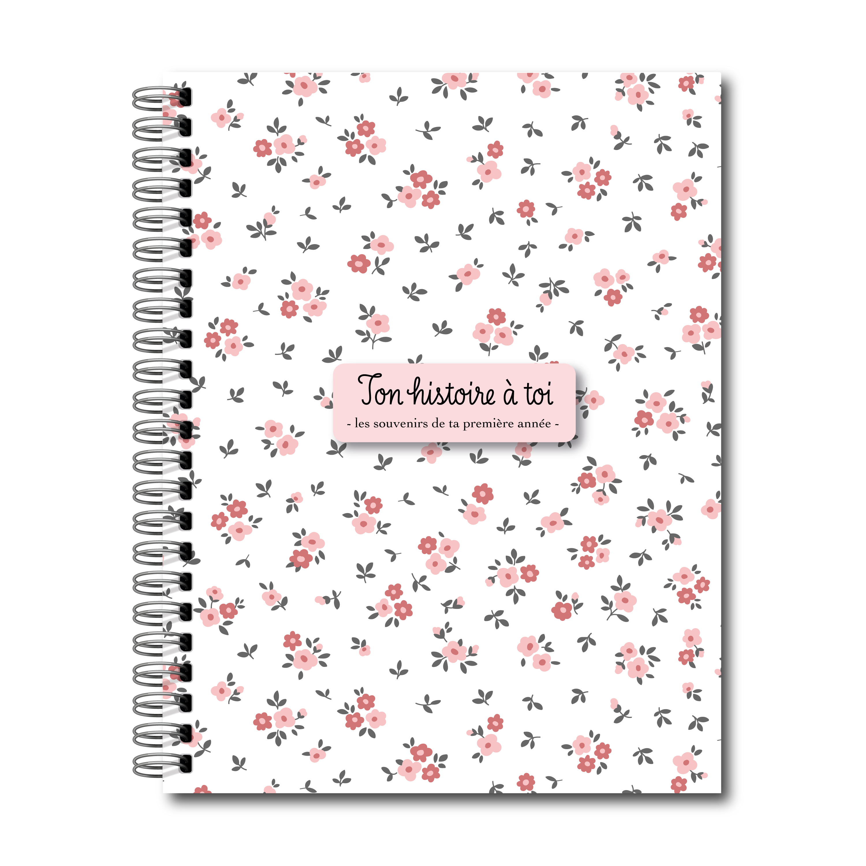 French Birth Book – Journal Souvenirs (Geese) 