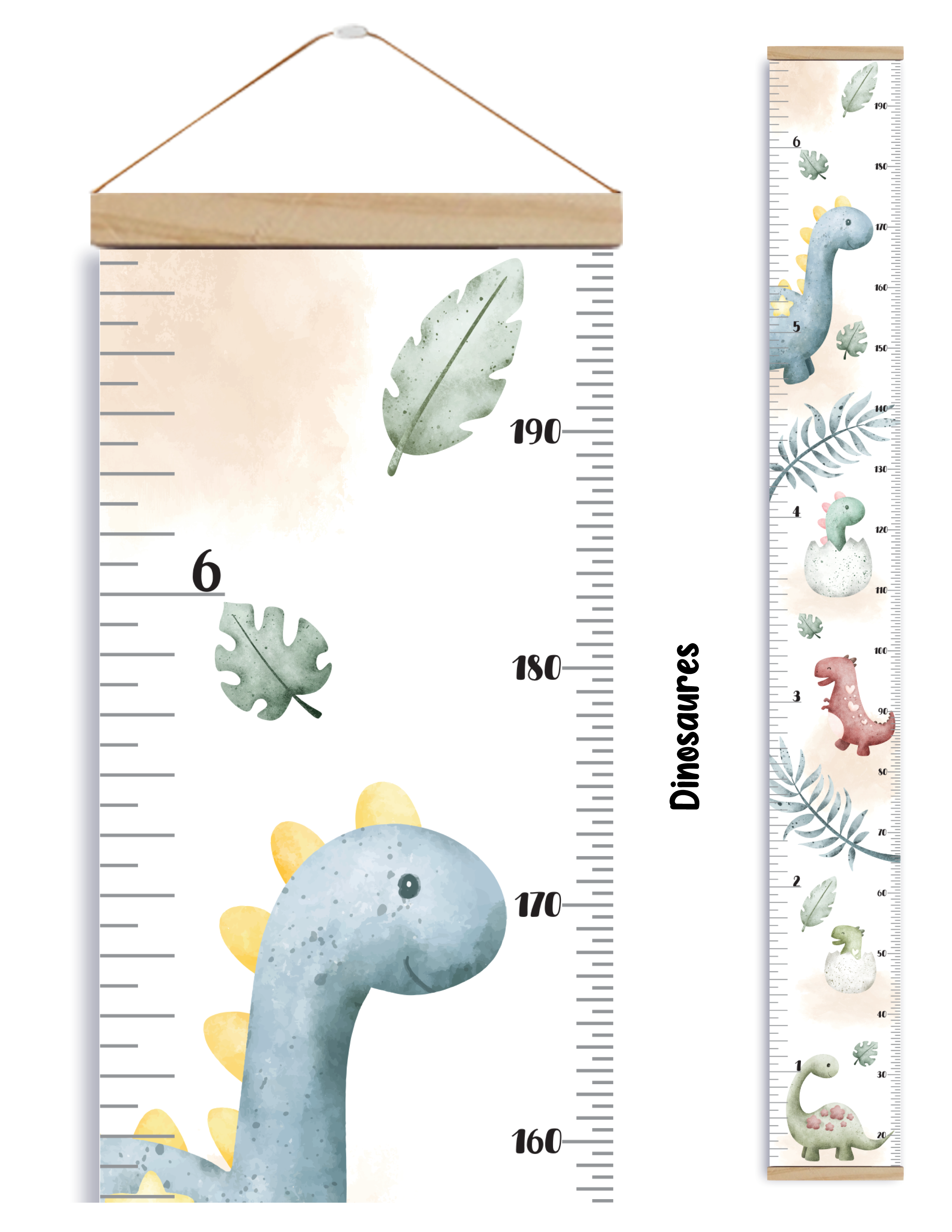 Échelles de croissance - Dinosaures