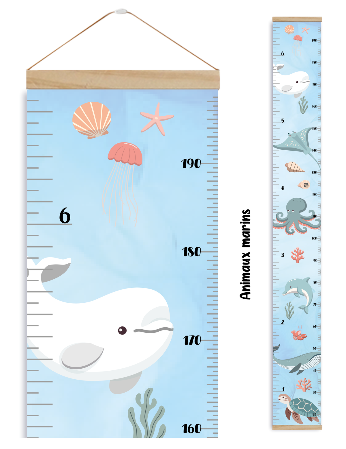 Échelles de croissance - Animaux marins/Growth chart Marine Animals