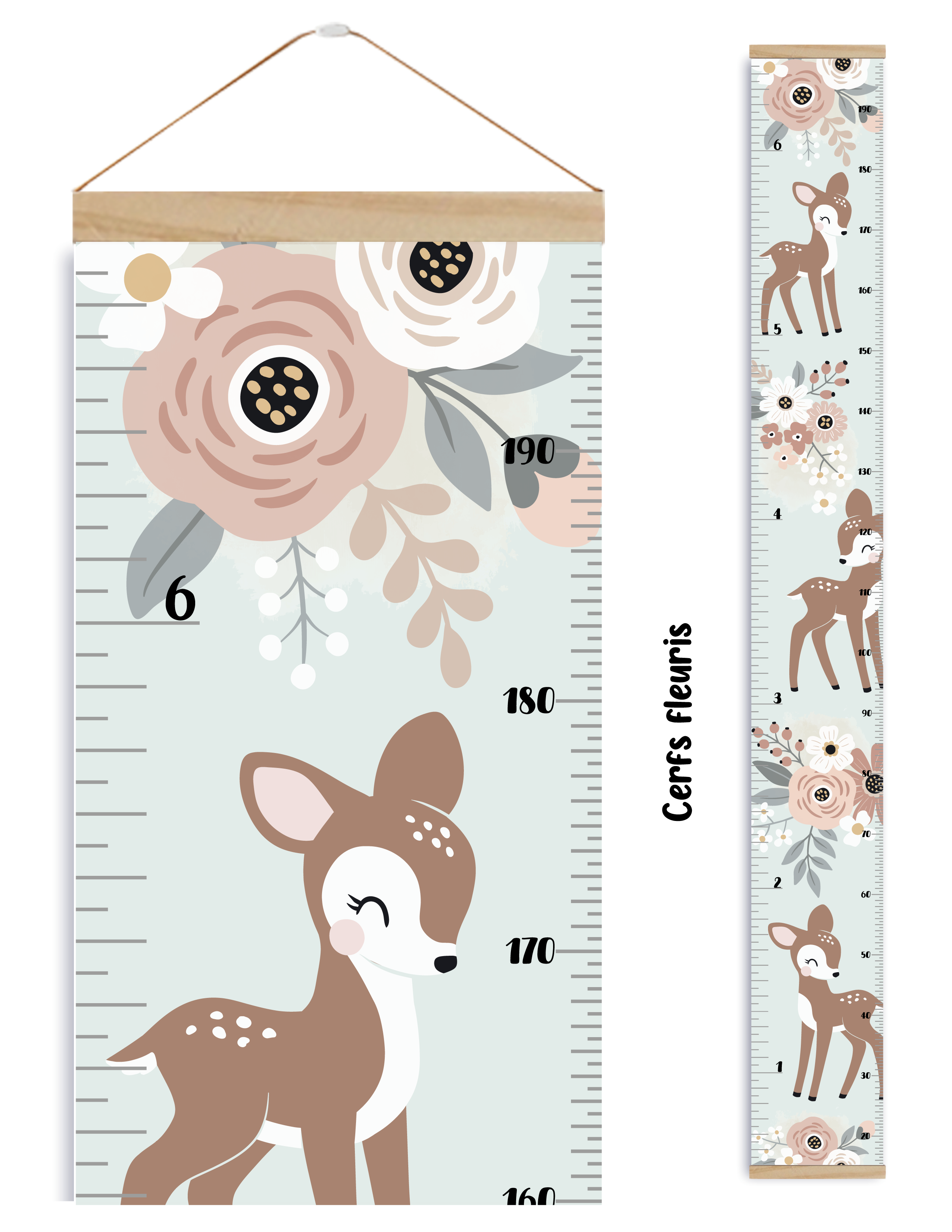 Échelle de croissance - Cerfs fleuris