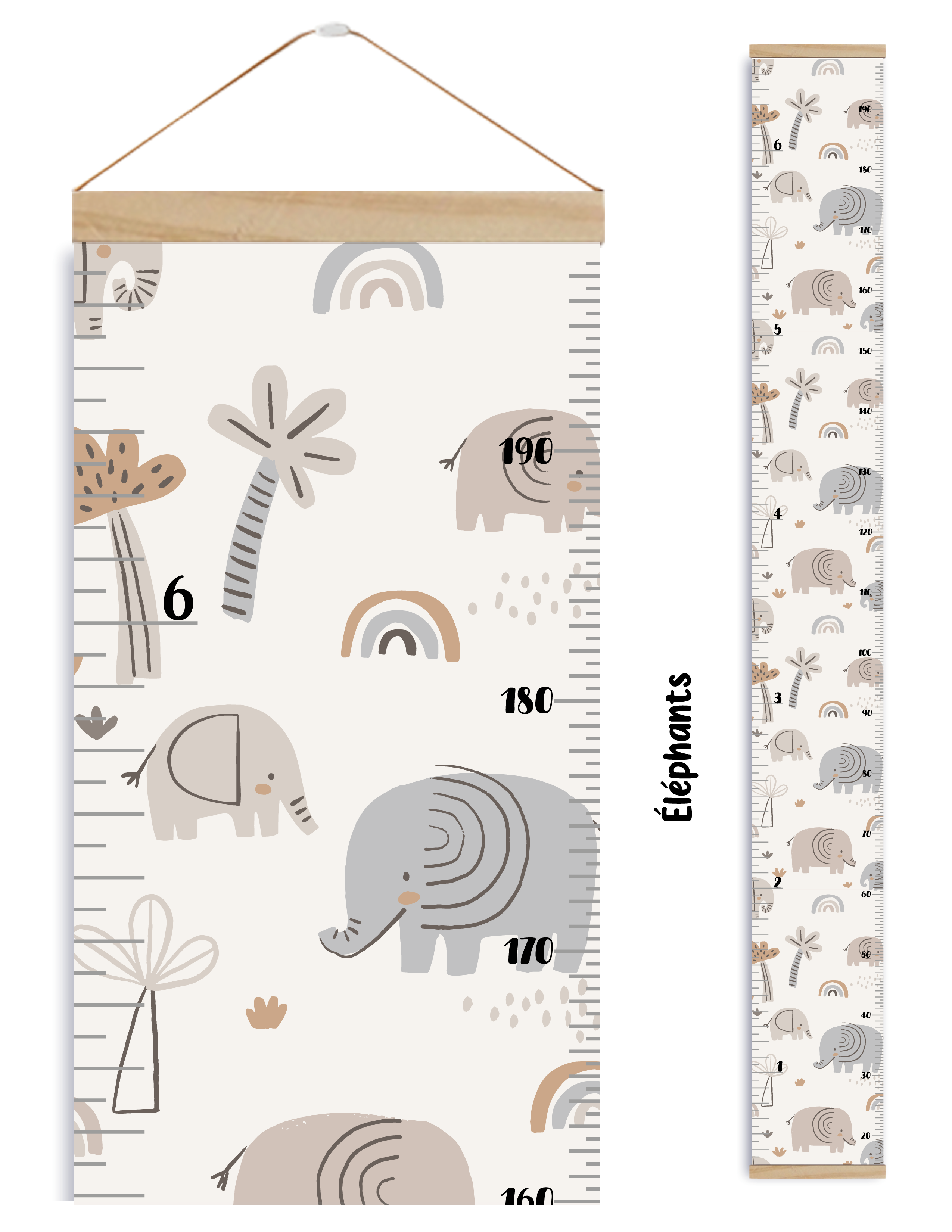Échelles de croissance - Éléphants