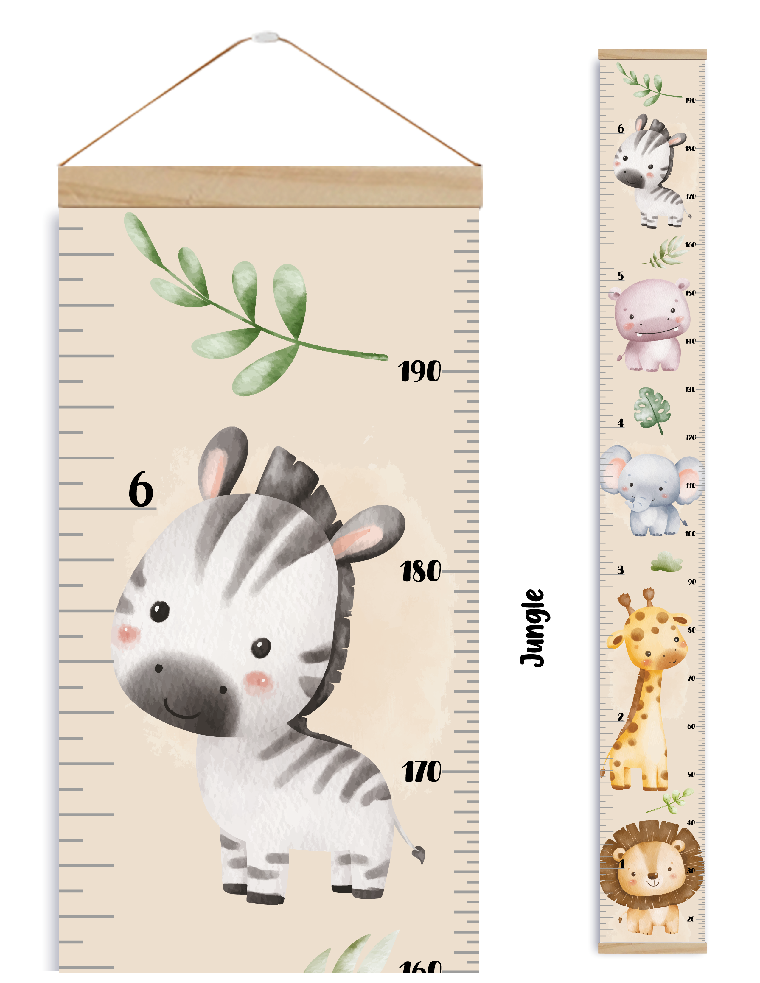Échelles de croissance - Jungle