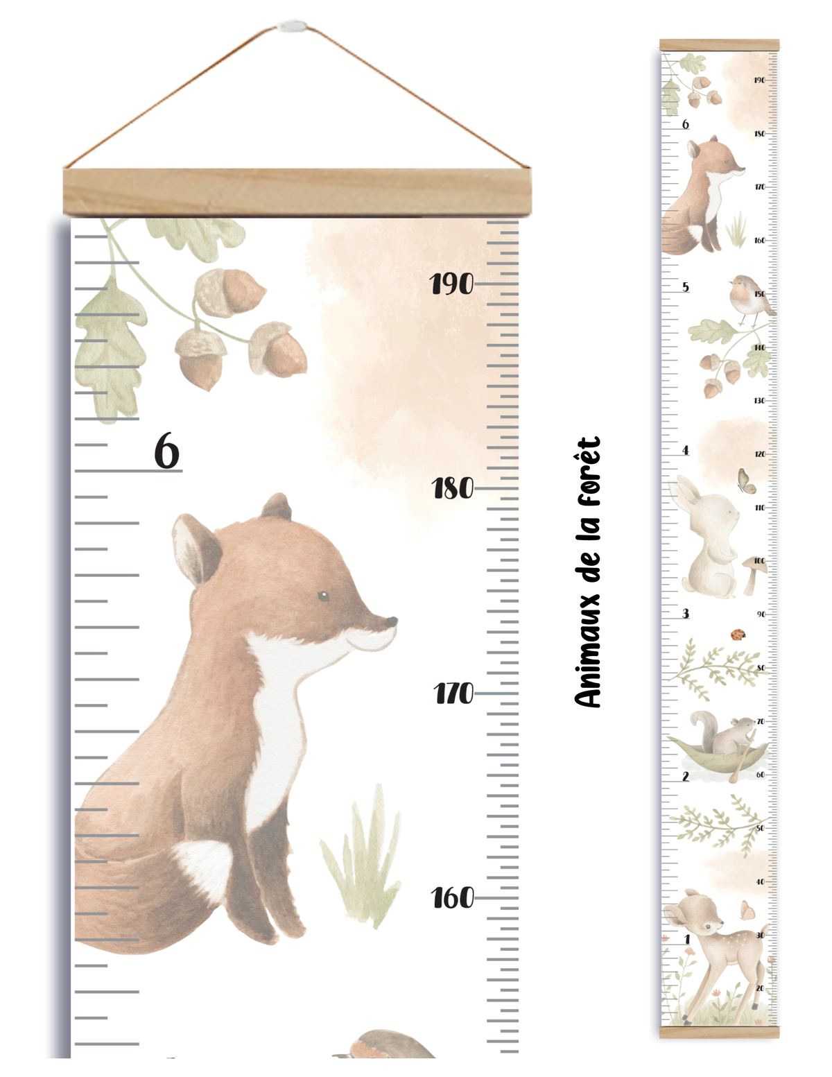 Échelles de croissance - Animaux de la forêt/Growth chart Forest Animals